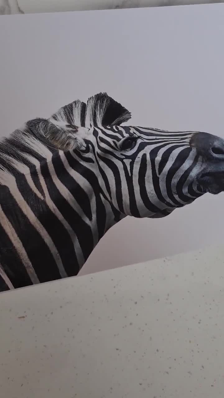 Quirky Zebra Wall Art Cocktail Wall Print Animal Theme Home Etsy