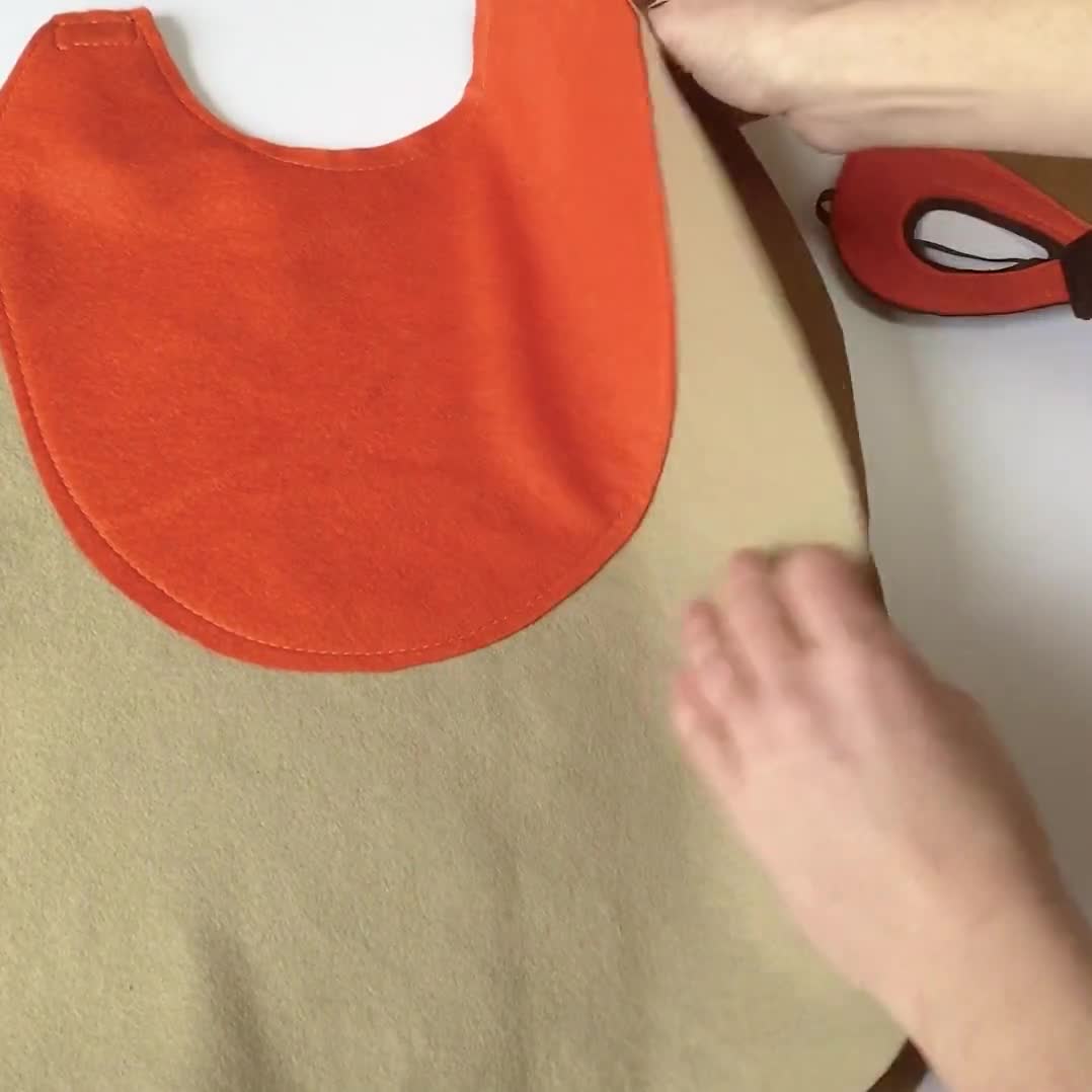 robin redbreast costume