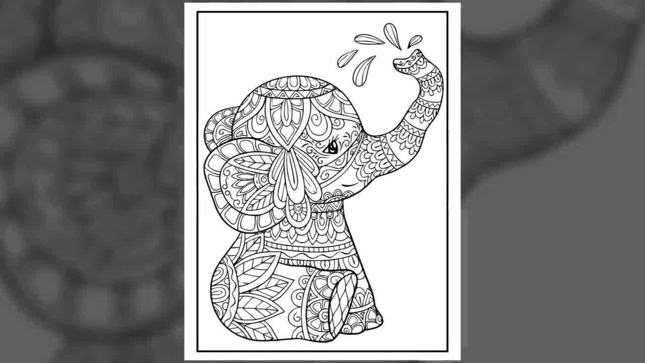 Elephant Mandala Coloring Pages - 50 Page Elephant Coloring Book for Adults  and Kids - Printable
