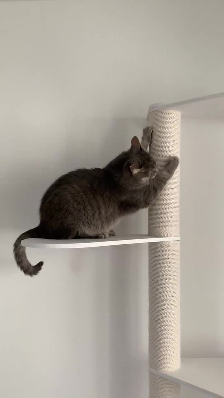 walker watch tower cat scratch post