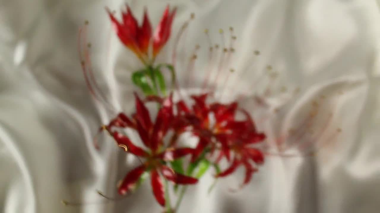 Handmade Red Spider Lily Tokyo Ghoul Anime Cosplay Flower Etsy