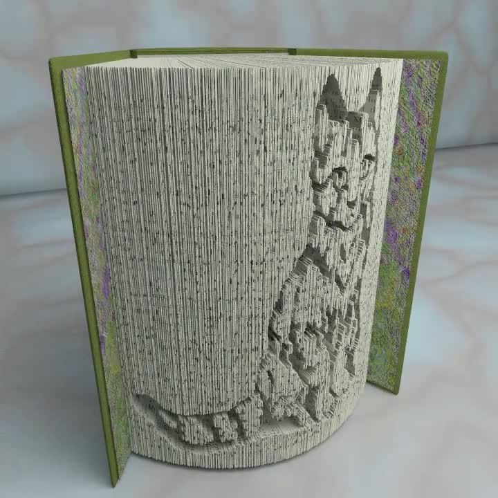 Chat Mignon Patron Pour Livre Plie Instruction Bricolage Etsy France