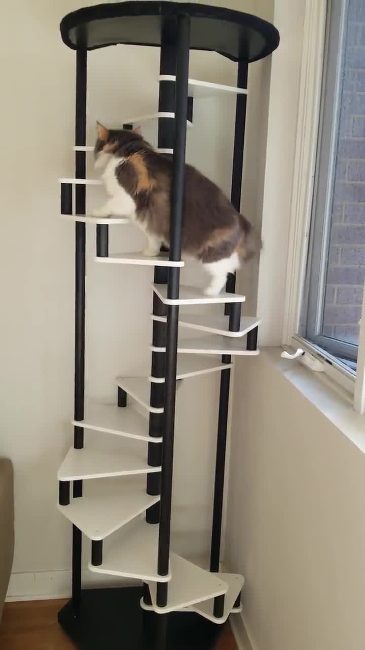 contempo cat tree